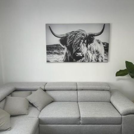 Appartement Justine بلانكنبرخ المظهر الخارجي الصورة